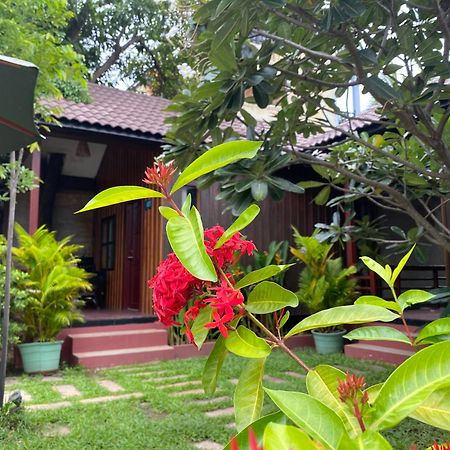 Habana Angkor Boutique Hotel 暹粒 外观 照片
