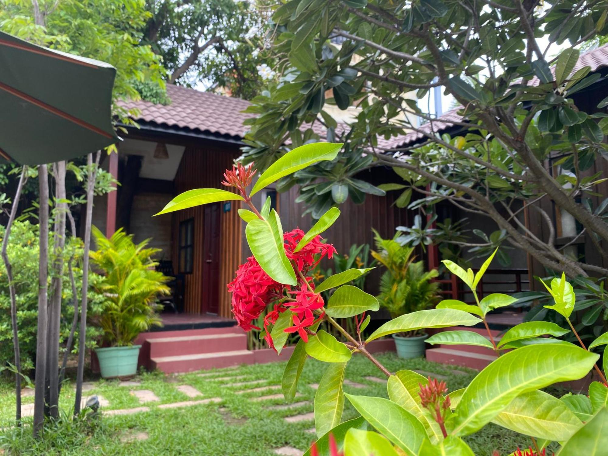 Habana Angkor Boutique Hotel 暹粒 外观 照片